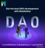 Mobiloitte's DAO software is the most efficient and user-friendly development platform!