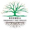 Roswell Emergency Tree Service
