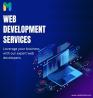 Web Development Solutions with Mobiloitte experts