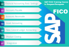 SAP FICO Classes in Delhi, Mukherjee Nagar, SLA Consultants India, Accounting, Tally GST Certificati