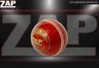 AP Cricket was founded  to provide premium and reliable cricket equipment