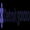 Detroit GoNano