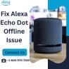 Fix Alexa Echo Dot Offline Issue | +1-800-976-7616 | Alexa Support