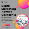 Best Digital Marketing Agency in California| TEQTOP