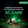 Elevate Your Gaming Business With BC.Game Clone Script