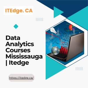 Data Analyst Course Mississauga | Itedge