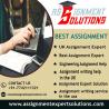 Assignment Writing Service in the usa