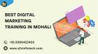 Best digital marketing training institute in Mohali