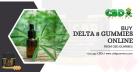 Buy Delta 8 Gummies Online From CBD Gummies