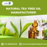 Natural Tea Tree Oil Manufacturer