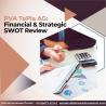 PVA TePla AG: Financial & Strategic SWOT Review