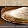RiceBran Tech (RIBT): Financial & Strategic SWOT