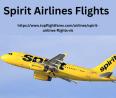 Spirit Airlines Status - Topflightfares