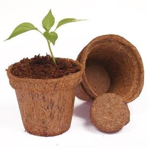 Coco Coir Pots in Australia