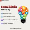 Amplify Your Digital Footprint with Best SMO Company In Delhi - Techimpero.