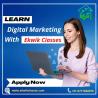 Build A Successful Career With Digital Marketing Course in Delhi