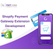 Effective Shopify Payment Gateway Extension Development Services