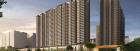 Noida Extension Residential Apartment Palm Olympia