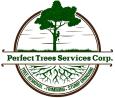 Perfect Trees Services Corp