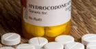 Where Can I Buy Hydrocodone Online at Low Price?