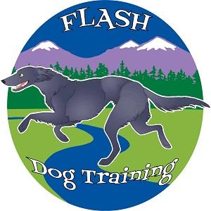 Flash Dog Training Broomfield Colorado