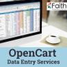 Avail Complete OpenCart Data Entry Services for Smooth Functioning