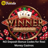 NO Deposit Bonus Codes for Real Money Casinos
