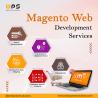 Top Magento Website Development Company – Web Panel Solutions