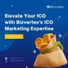 Elevate Your ICO with Bizvertex's ICO Marketing Expertise