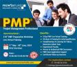 Online training course pmi pba