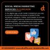 Social Media Marketing Services In Agra By Dtroffle