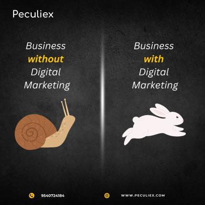 Best Digital Marketing Services In Delhi