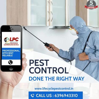 best pest control in pune