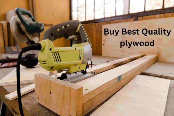 Best Plywood Manufacturers In Delhi NCR