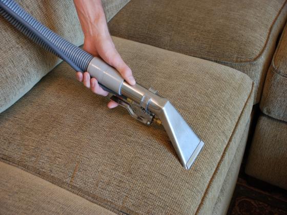 Carpet Cleaning by Clover
