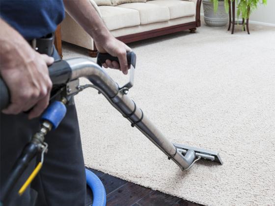 Carpet Cleaning by Clover