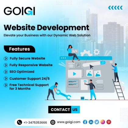 custom software development agency