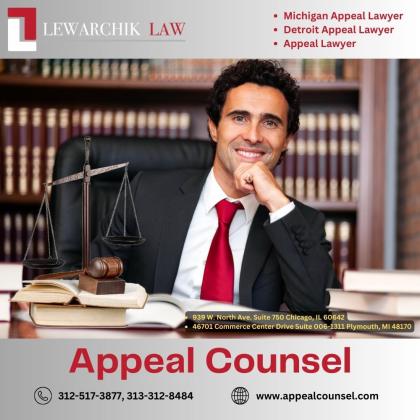 Detroit Appeal Lawyer | Appeal Counsel