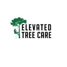 Elevated Tree Care