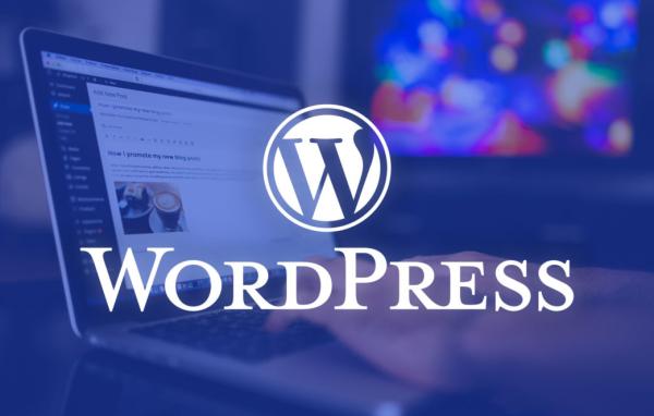 Empowering Your Online Presence: The Role Of WordPress Developers
