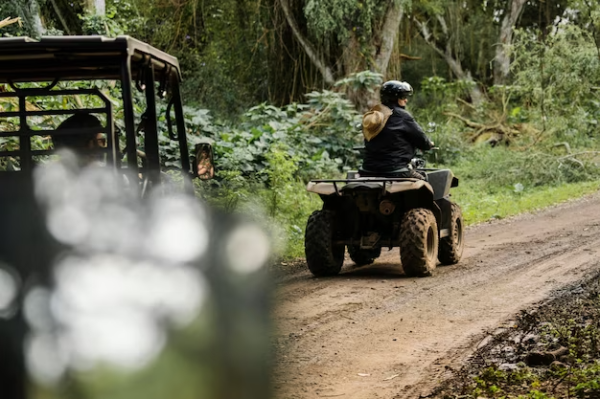 Explore the Wild with Top-Quality ATVs: Hattiesburg's Premier ATV Store