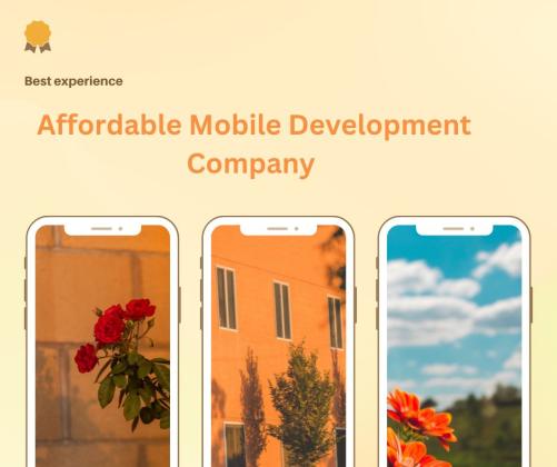 Finding the Right Mobile Development Company for Your Needs