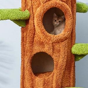 Give your feline friend the ultimate playground with our solid wood cat climbing tree