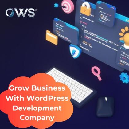 Grow Business With WordPress Website Development Company India