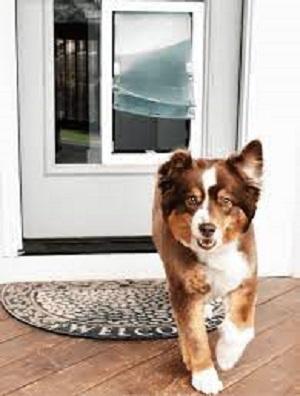 Hale Pet Door of Colorado