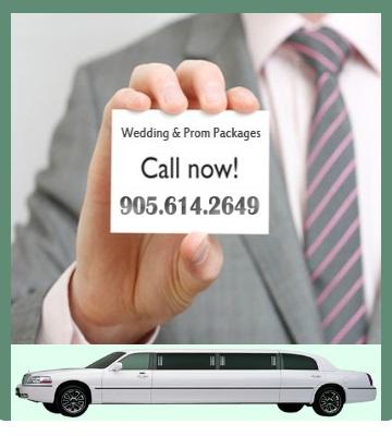 Hamilton Party Bus Rentals