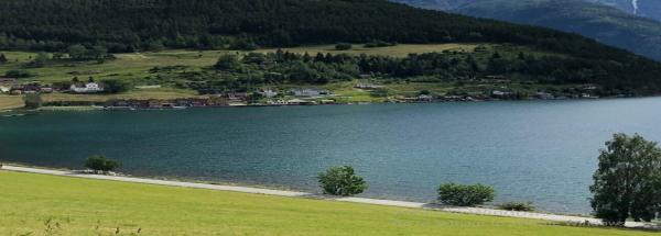 Inventive Property Solutions