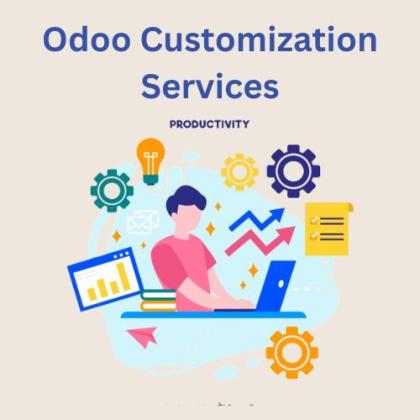 open erp custom module development,