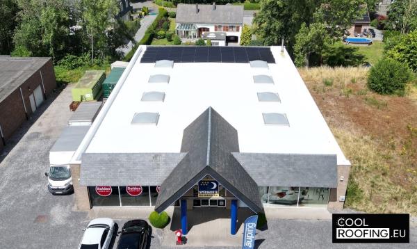 Peinture Blanche Toit Roofing