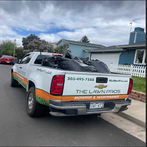 The Lawn Pros